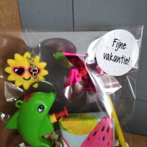 Zomer traktatie windmolentje/dolfijn waterpistooltje/sleutelhanger
