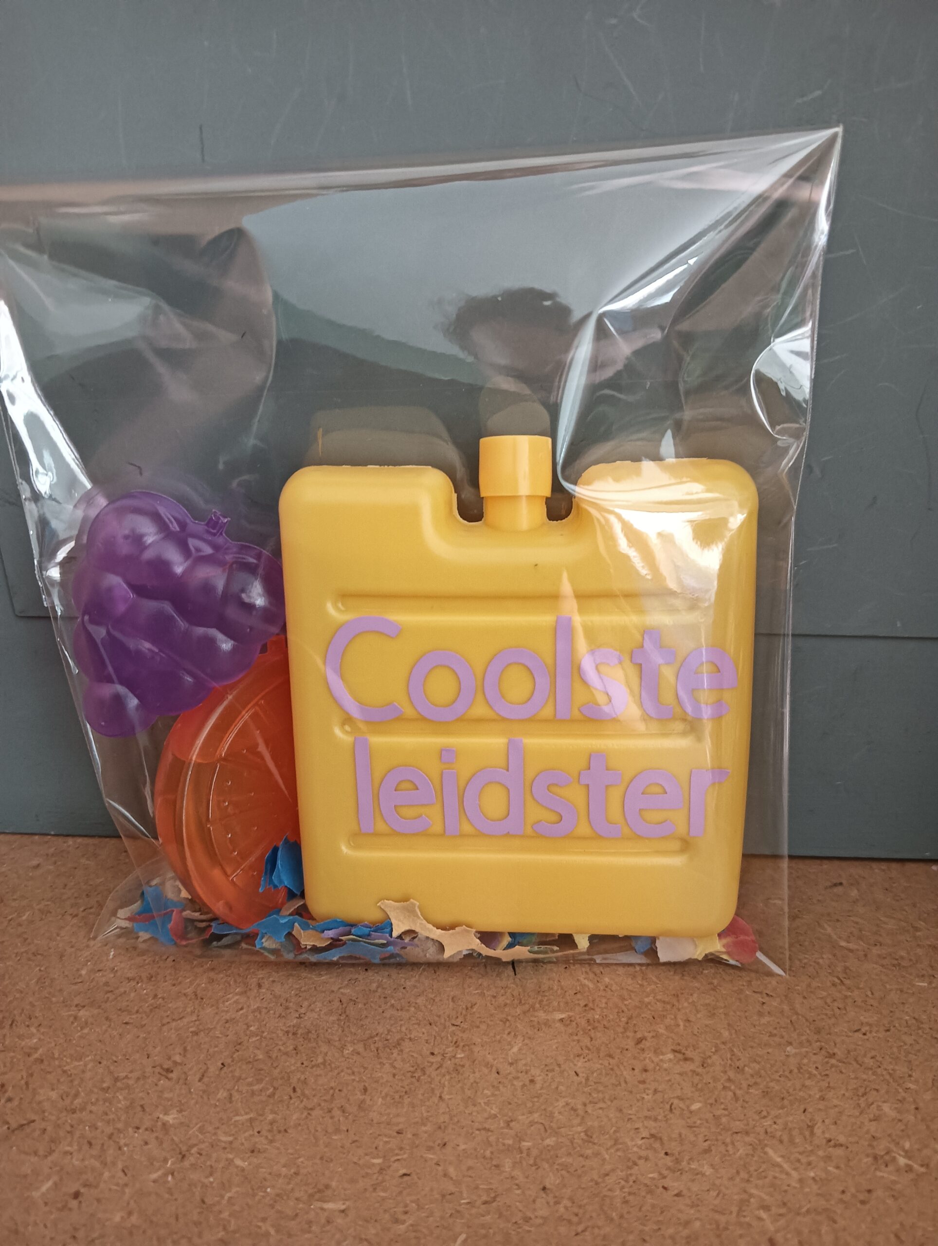 Coolste leidster cadeautje