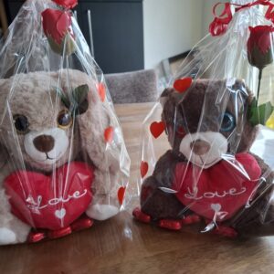 Valentijn knuffel cadeautje