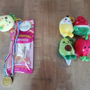 Avondvierdaagse traktatie snoepzak/knuffel